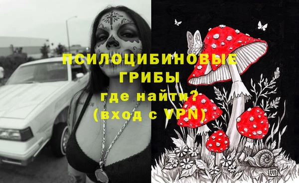 мдпв Алзамай