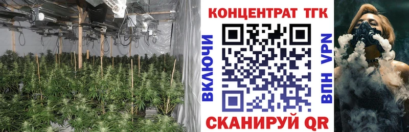 ТГК гашишное масло  Новоалтайск 