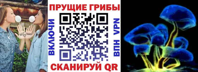 Псилоцибиновые грибы GOLDEN TEACHER  Новоалтайск 